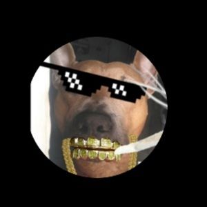 Meet your Posher, Devin